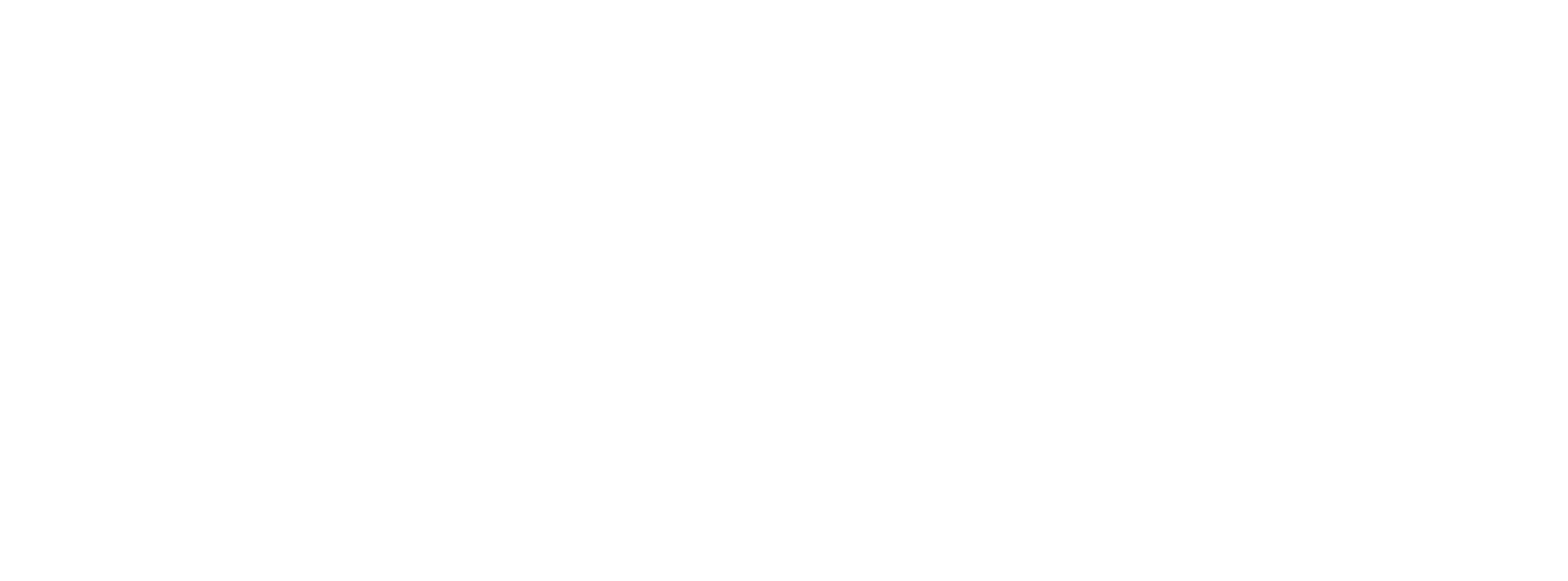 Partner 12